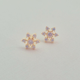 Brinco Estrelinha Microcravejado