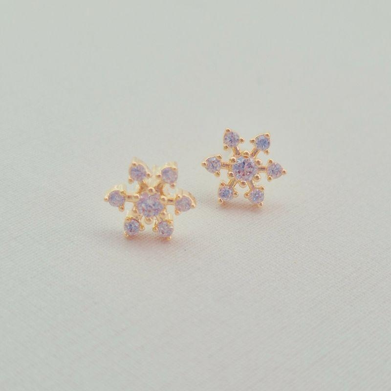 Brinco Estrelinha Microcravejado