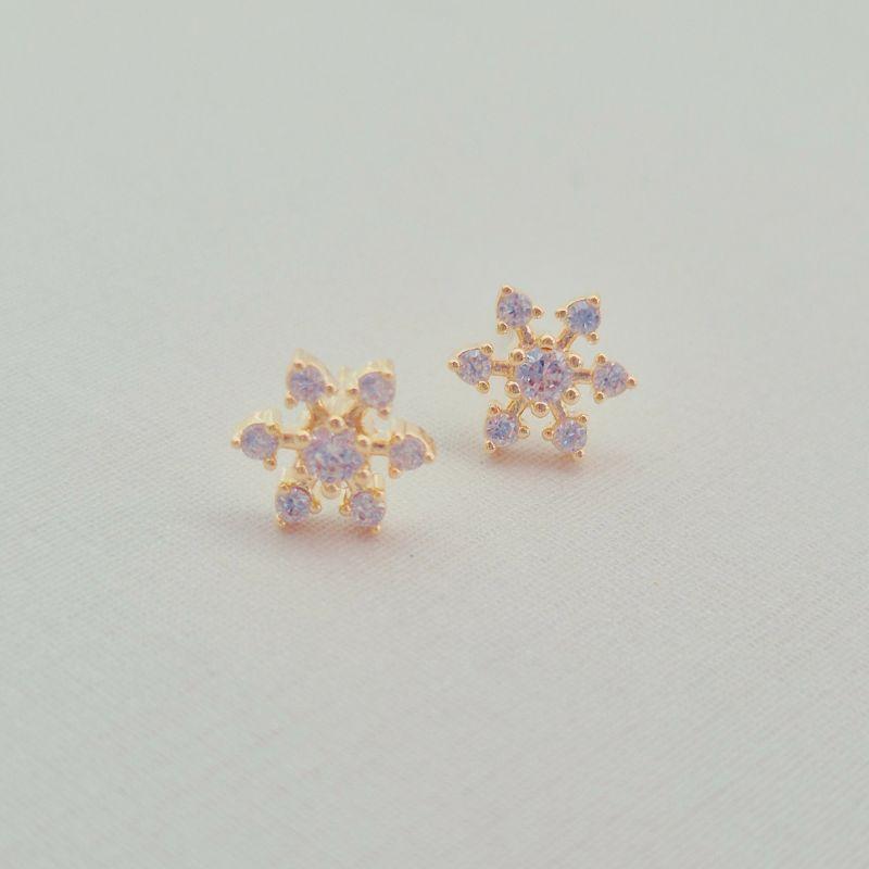 Brinco Estrelinha Microcravejado